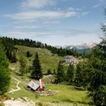 Die Gardenacia Hütte ist in eine malerische Landschaft gebettet