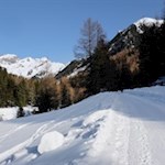 Durch die bezaubernde Winterlandschaft zur Huber Alm