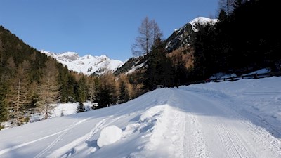 Durch die bezaubernde Winterlandschaft zur Huber Alm