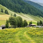 Der Hintertalweg führt durch schöne Weidewiesen