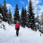 Durch den winterlichen Wald zur Frommer Alm