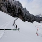 Am Beginn des Waldweges Nr. 3