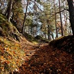 Herbstwanderung nach Oberbozen