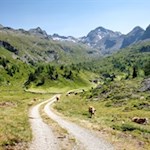 Zunächst führt der breite Wanderweg Nr. 33 in Richtung Pojer Almen