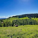 Bilderbuchidylle auf dem Weg zur Leadner Alm