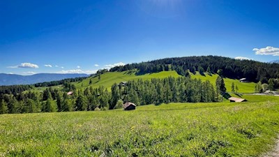 Bilderbuchidylle auf dem Weg zur Leadner Alm