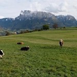 Unterwegs öffnen sich schöne Ausblicke auf den Schlern