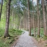 Die letzten Meter zum Pojer Wasserfall