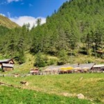 Inmitten wald- und bergumrahmter Wiesen liegt die Astnerbergalm
