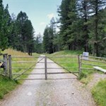 Der breite Wanderweg zur Huberalm ist auch mit dem Kinderwagen befahrbar