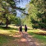 Wandern im Vinschgau