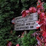 Die von Wilden Weinreben umrankte Markierung weist den Weg nach Teis