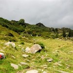 Durch steinbeschlagene Wiesen zur Klammalm