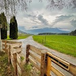 Schließlich folgen wir dem nicht ausgeschilderten Sträßchen nach Greinwalden