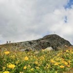 Das Gipfelkreuz des Karspitz rückt in greifbare Nähe