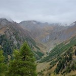 " Im Nebel ruhet noch die Welt,  noch träumen Wald und Wiesen..." (Eduard Mörike)