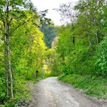 Sanft zieht sich die Gaulpromenade in die Gaulschlucht 