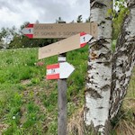 Auf dem Weg Nr. 7A zurück nach Kiens