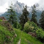 Nebelschleier umspielen den Schlern