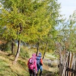 Auf dem Koflsteig nach Platten