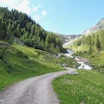 Auf-breiten-Almwegen-durchs-Trattenbachtal