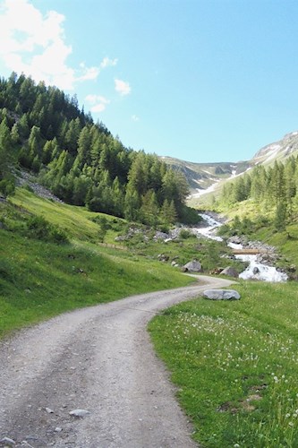 Auf breiten Almwegen durchs Trattenbachtal