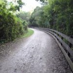 Biotop bei Schrambach