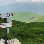 Die Malga Campo ist in eine idyllische Landschaft gebettet