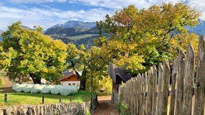 An den ersten Höfen vorbei ins Barbianer Dorfzentrum