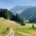 Durch Wiesen, Felder und Wälder nach Weitental