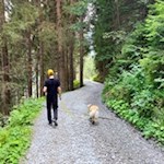 Wandern zur Bergeralm