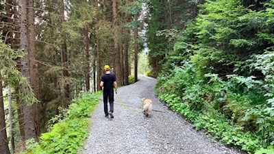 Wandern zur Bergeralm
