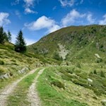 Sanft steigt der Wanderweg durch die Almwiesen in Richtung Mutenock an