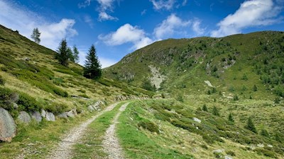 Sanft steigt der Wanderweg durch die Almwiesen in Richtung Mutenock an