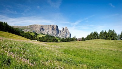 Der Schlern ist eines der Wahrzeichen der Seiser Alm