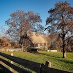 Die Sigmund-Freud-Promenade führt an verstreuten Höfen und Häusern vorbei