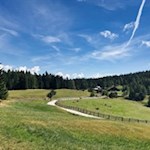 Sanft schlängelt sich der Weg durch die berückenden Almwiesen