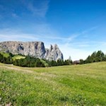 Die Wanderung zur Edelweißhütte öffnet schöne Ausblicke auf den Schlern