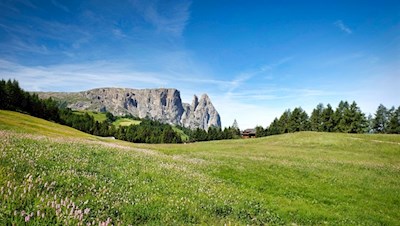 Die Wanderung zur Edelweißhütte öffnet schöne Ausblicke auf den Schlern