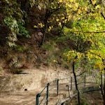 Vom Duft der zahlreichen Pflanzen erfüllt - unterwegs auf dem Tappeinerweg