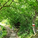 Die sanften Wege des Archeopfades sind auch für Ausflüge mit Kindern geeignet