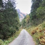 Sanft steigt der Weg zur Bodenalm an