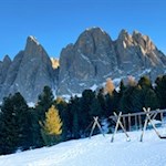 Ausblick von der Geisleralm auf die Geislerspitzen