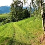 Der Weg Nr. 4 führt durch sattgrüne Wiesen zurück nach Brixen