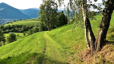 Der Weg Nr. 4 führt durch sattgrüne Wiesen zurück nach Brixen