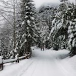 Durch den Spilucker Pulverschnee