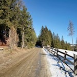 At the beginning of the trail