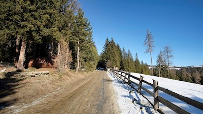 At the beginning of the trail