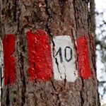 Auf dem Weg Nr. 10 zum Sompuntsee