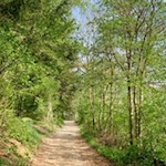 Sanft zieht sich der Bienenweg von Trens nach Valgenäun